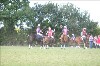 UKPA NC SAT_2330